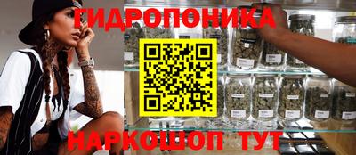 мяу мяу мука Краснознаменск