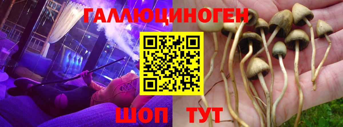 Галлюциногенные грибы ЛСД Звенигород